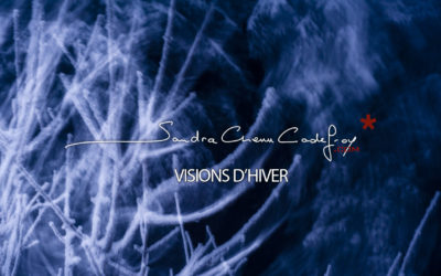 POM / Visions d’hiver… meilleurs voeux pour 2011