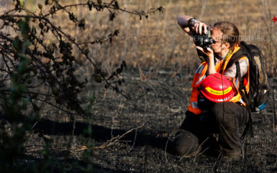 En reportage feu de forêt