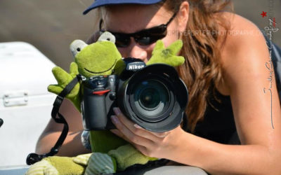 En reportage aux Reno Air Races